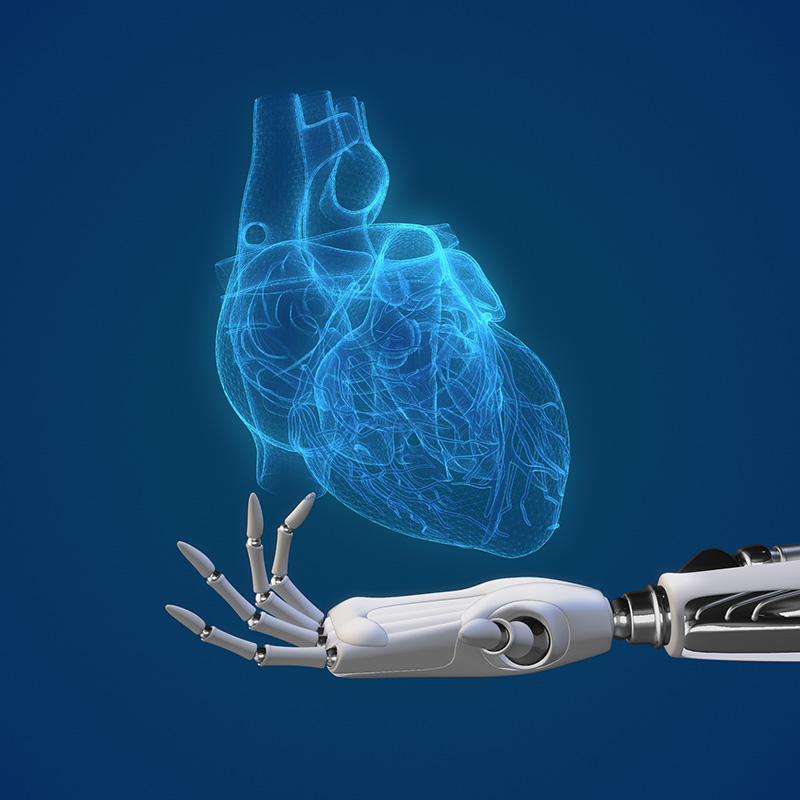 A robotic hand is holding human heart