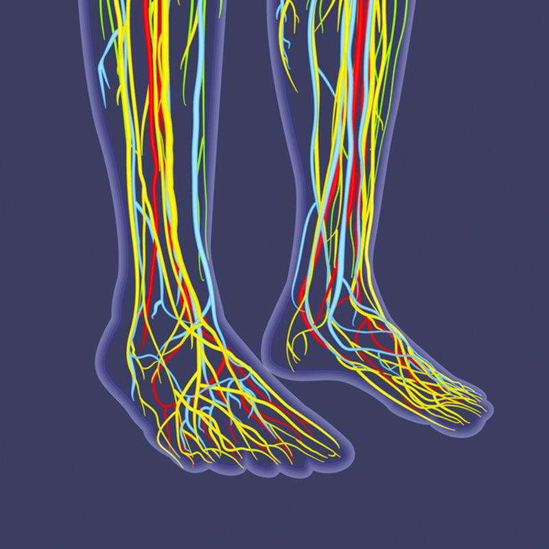 Vascular